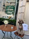 Load image into Gallery viewer, Le Woof Spa Collection Dog Robe