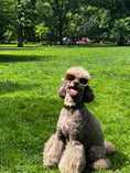 Load image into Gallery viewer, Le Woof Spa Collection Grooming Pamper Kit