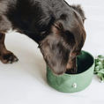 Load image into Gallery viewer, Le Woof Canvas Travel Bowls