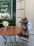 Load image into Gallery viewer, Le Woof Spa Collection Dog Robe

