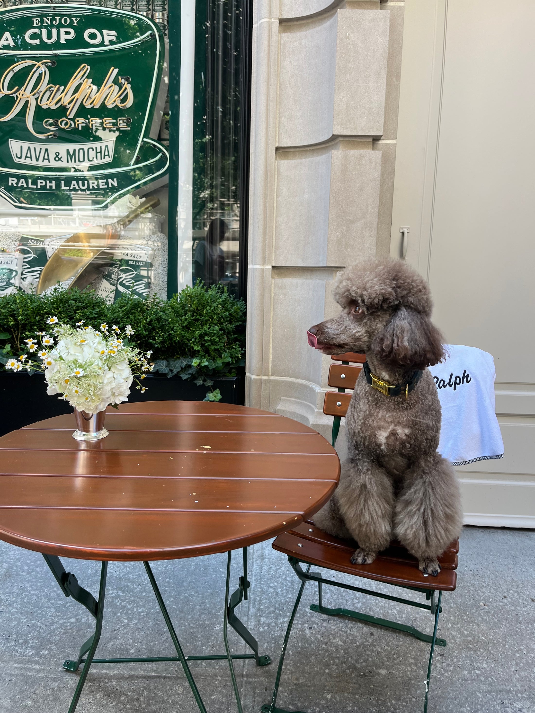 Le Woof Spa Collection Dog Robe