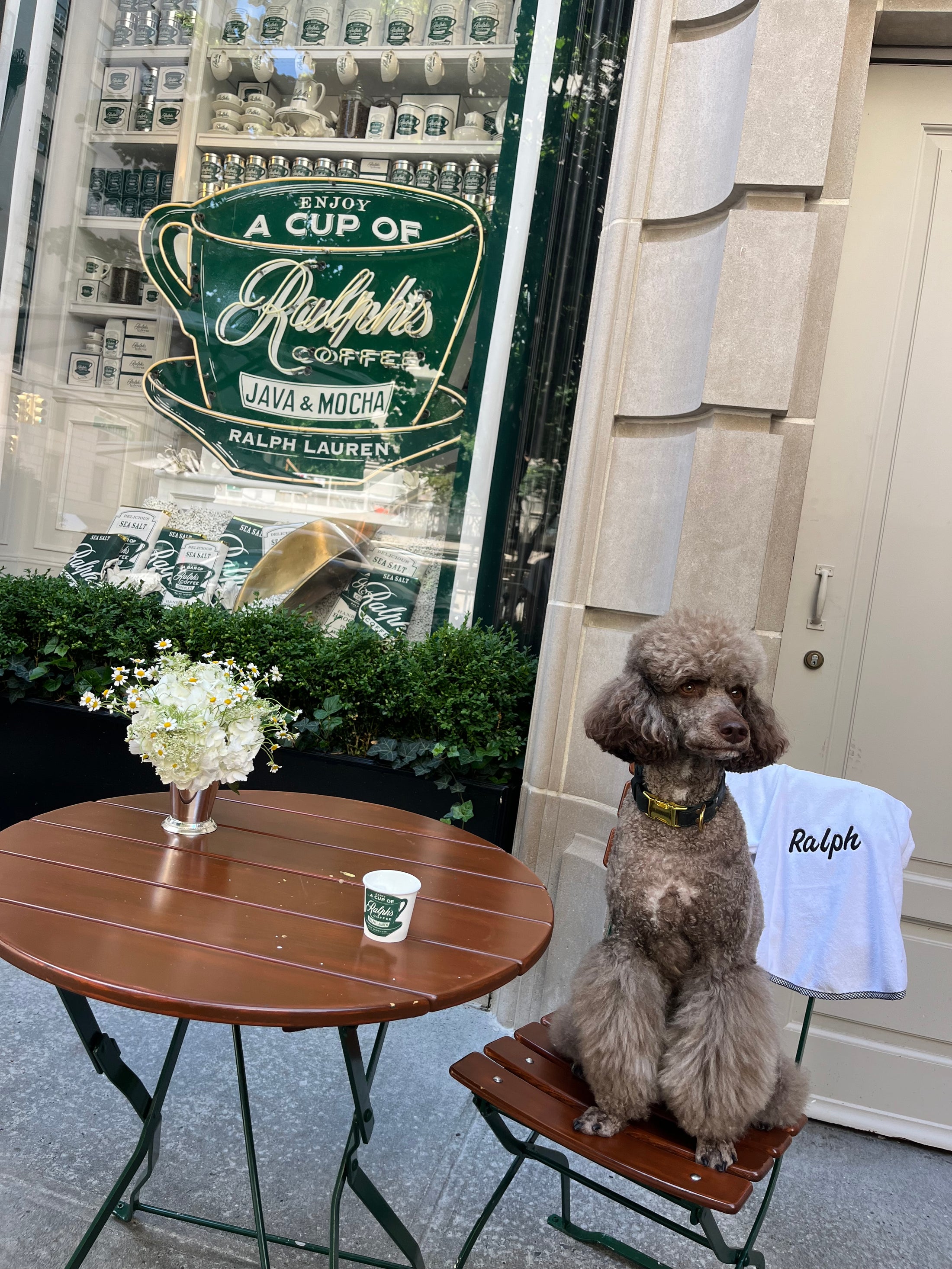 Le Woof Spa Collection Dog Robe