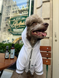Load image into Gallery viewer, Le Woof Spa Collection Dog Robe
