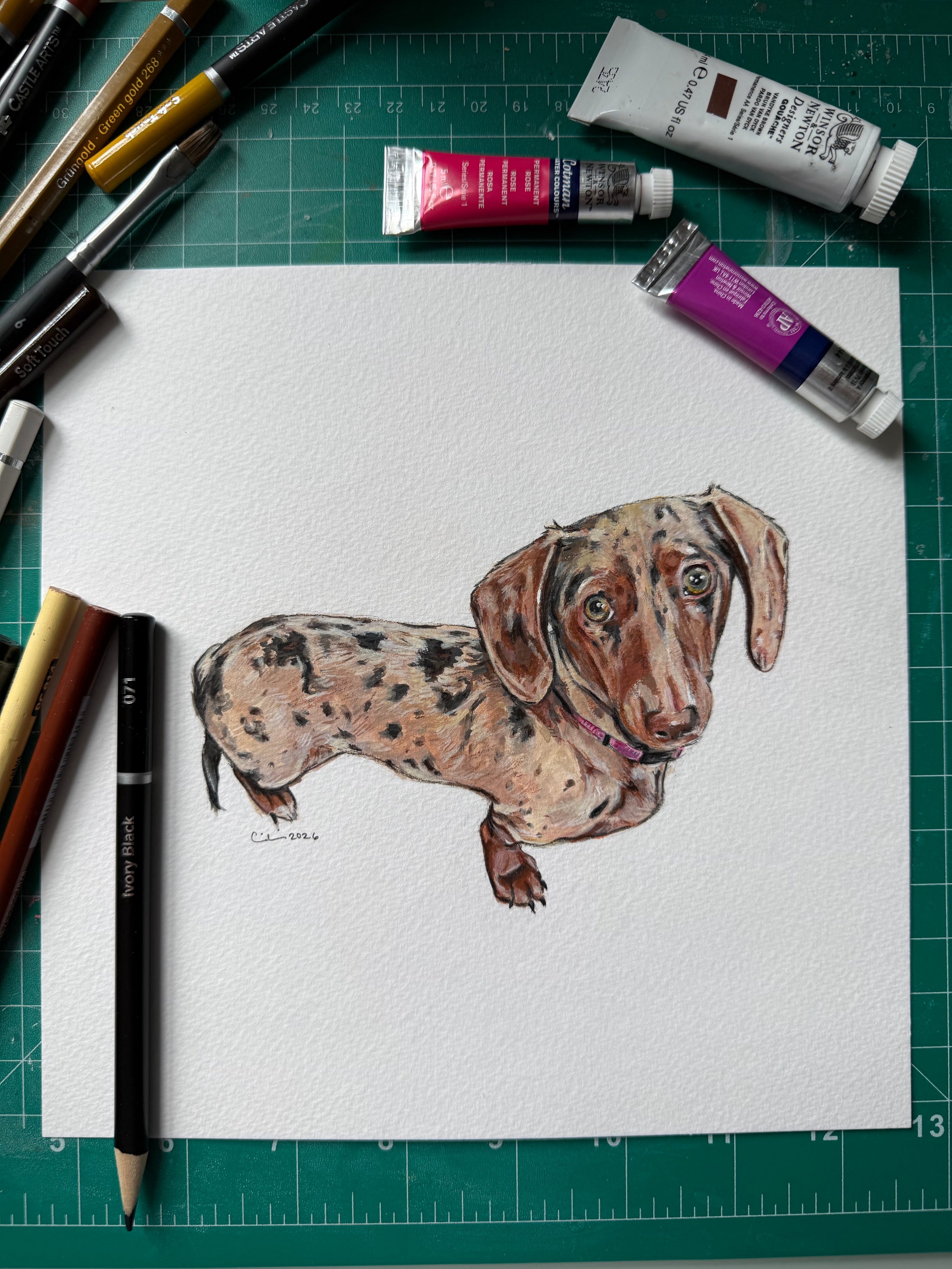 Le Woof x Carrie Draws Collab: Custom Dog Portrait