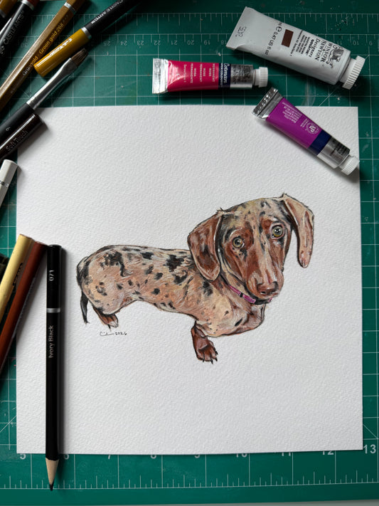 Le Woof x Carrie Draws Collab: Custom Dog Portrait
