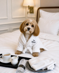 Load image into Gallery viewer, Le Woof Spa Collection Dog Robe
