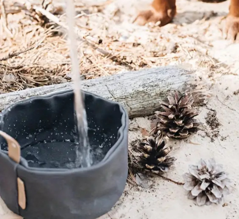 Le Woof Canvas Travel Bowls
