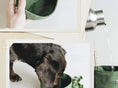 Load image into Gallery viewer, Le Woof Canvas Travel Bowls
