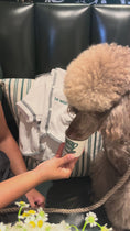 Load and play video in Gallery viewer, Le Woof Spa Collection Dog Robe
